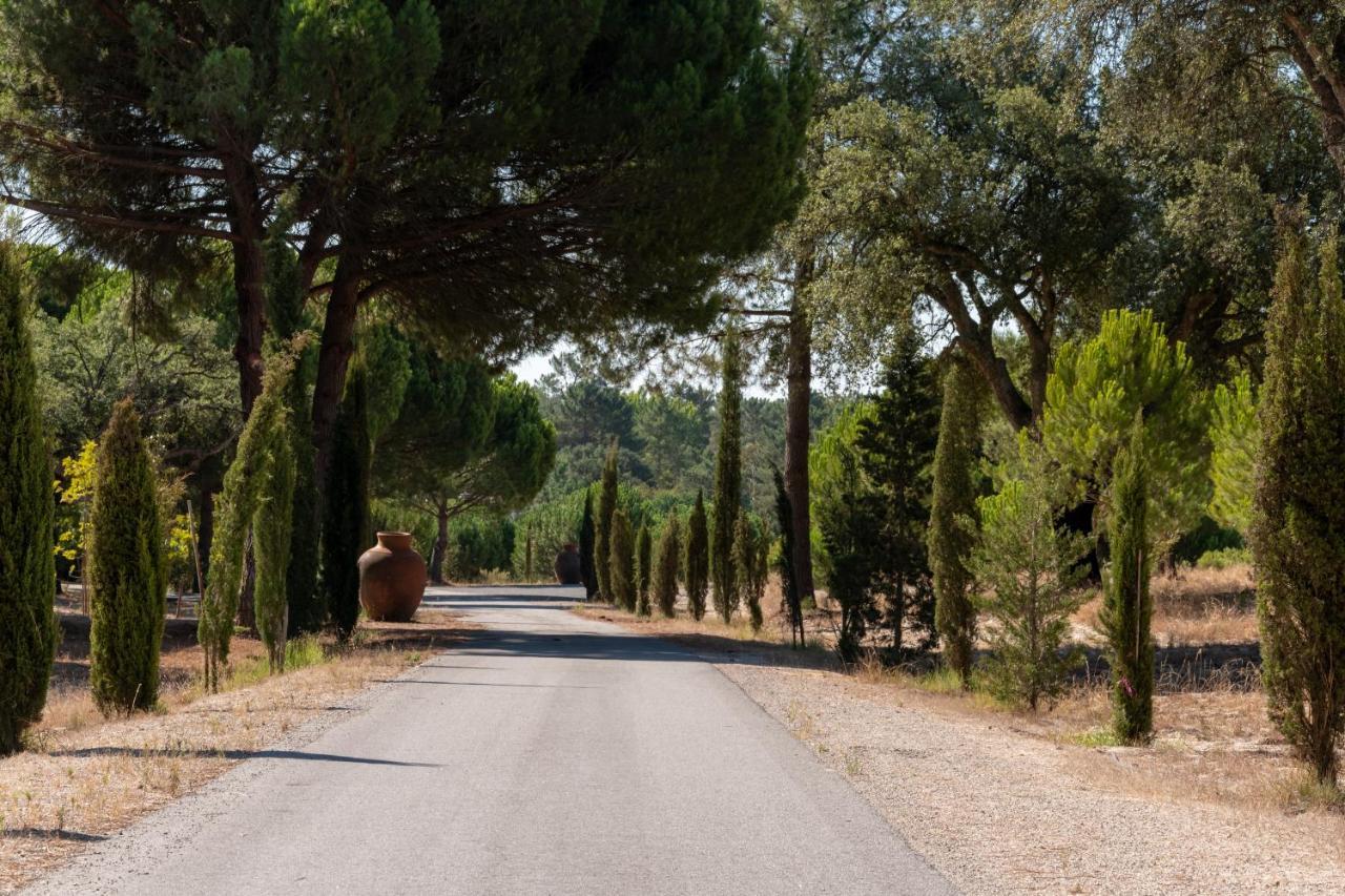 Holiday home Casas Da Horta